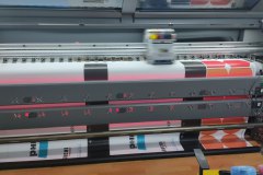 b527c22d-33cd-41f4-80ce-333cbdc222cb