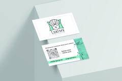 vizitki-songuru